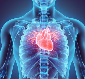  COVID-19: Herzfunktion meistens nur vorübergehend eingeschränkt
