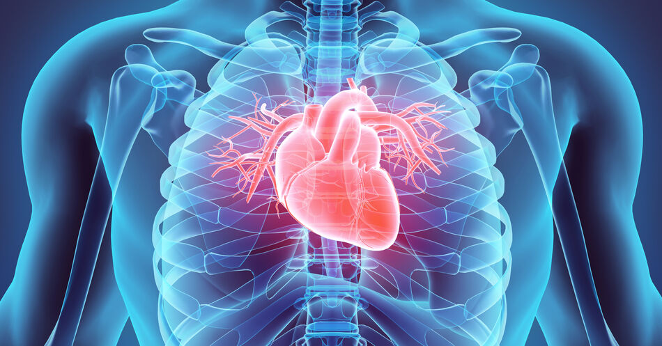 COVID-19: Herzfunktion meistens nur vorübergehend eingeschränkt