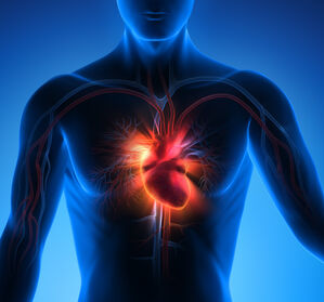 Chronische Herzinsuffizienz: Mit Vericiguat die Abwärtsspirale stoppen