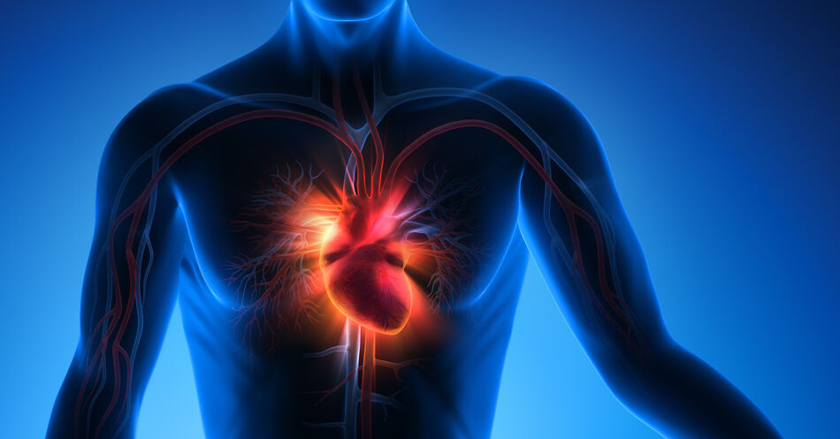 Chronische Herzinsuffizienz: Mit Vericiguat die Abwärtsspirale stoppen