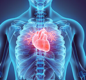 ESC: Daten aus dem kardiovaskulären Portfolio