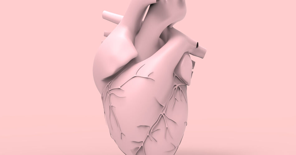 Verkürzung der Ischämiezeit bei Herztransplantationen?