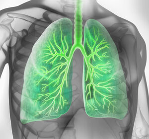 Management-Zyklus bei COPD