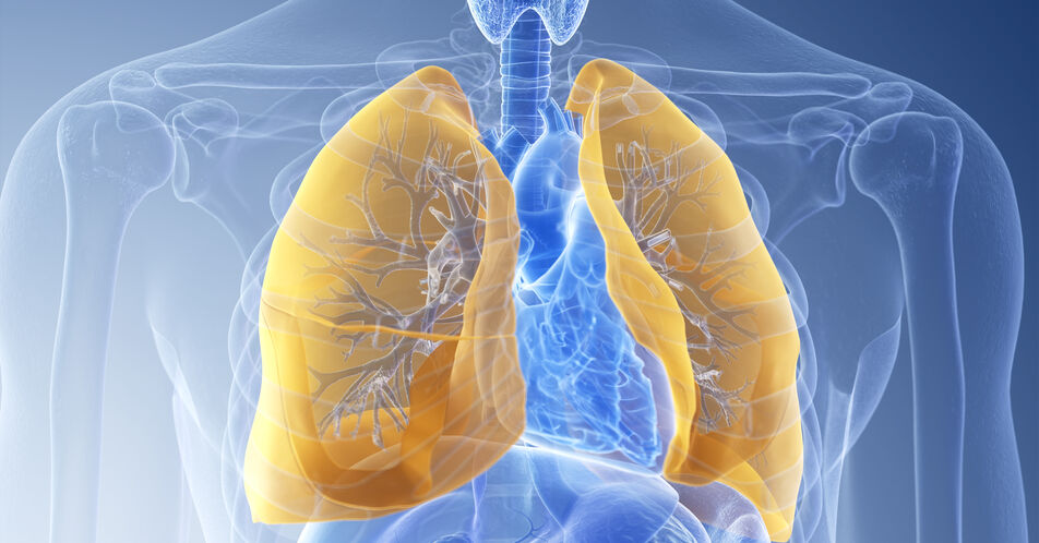 Lungenärzte fordern zielführende Maßnahmen zur Verbesserung der Luftqualität