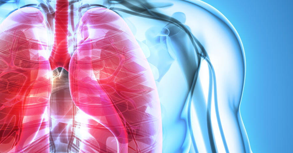 COPD: Studie zeigt Dringlichkeit des Exazerbations-Managements