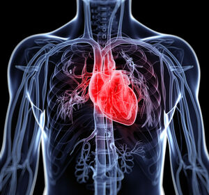 AHA: Neue Daten aus dem kardiovaskulären Portfolio