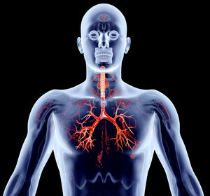COPD: Digitale Unterstützung bei Inhalationstherapien