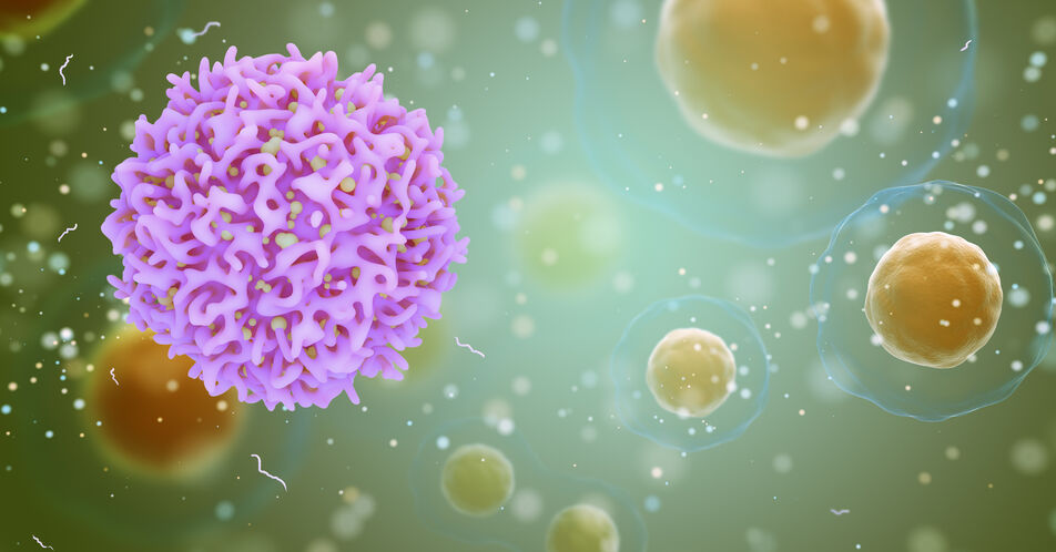 Autoimmunität: Wie steuert Roquin die Aktivität von Immunzellen?