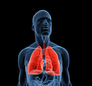 Welt-COPD-Tag 2021 „Gesunde Lunge. Nie wichtiger als jetzt“