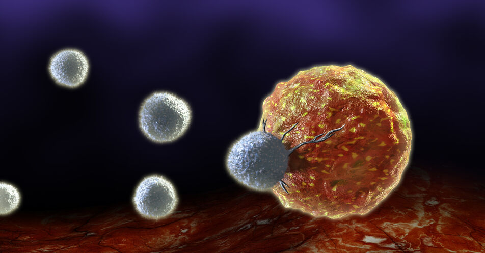 Der Architektur von Krebszellen auf der Spur