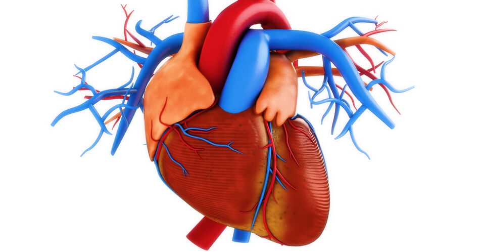 ESC-Leitlinien empfehlen Herzpumpe