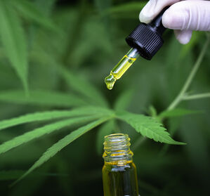 Cannabis in der Medizin: Hoher Bedarf an Studien
