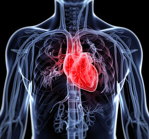Herzinsuffizienz: Neue Leitlinie vereinfacht Versorgung