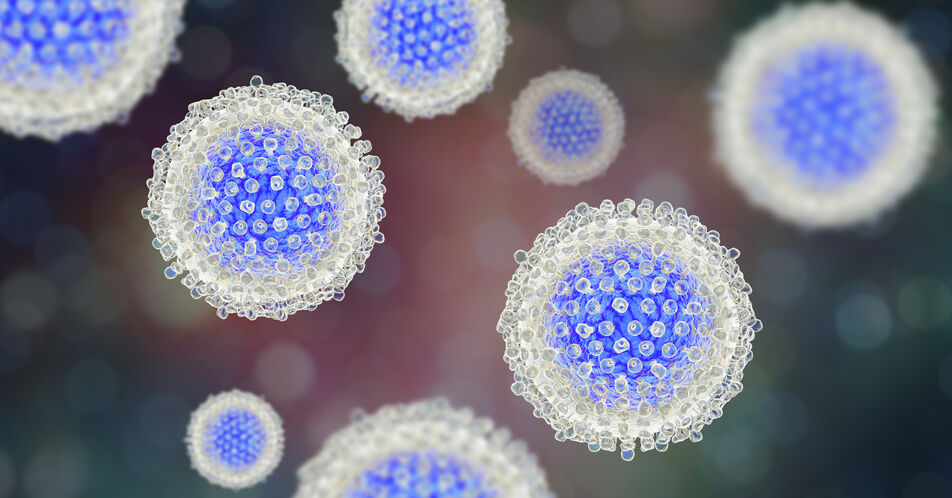 Neutralisierende Antikörper gegen Hepatitis-C-Virus entdeckt