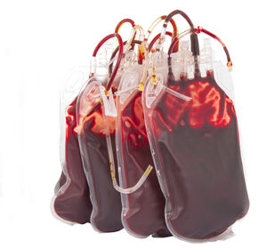ZKRD: Die meisten Blutstammzellspenden weltweit sind in Deutschland registriert