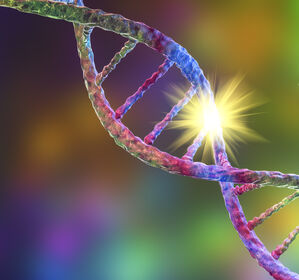 DNA-Reparaturmechanismus beeinflusst Genom-Editierung