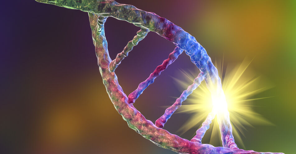 DNA-Reparaturmechanismus beeinflusst Genom-Editierung
