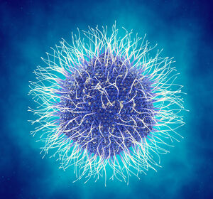 31. Jahrestagung der Gesellschaft für Virologie e. V. (GfV): Spannende Diskussionen aus allen Bereichen der Virologie 