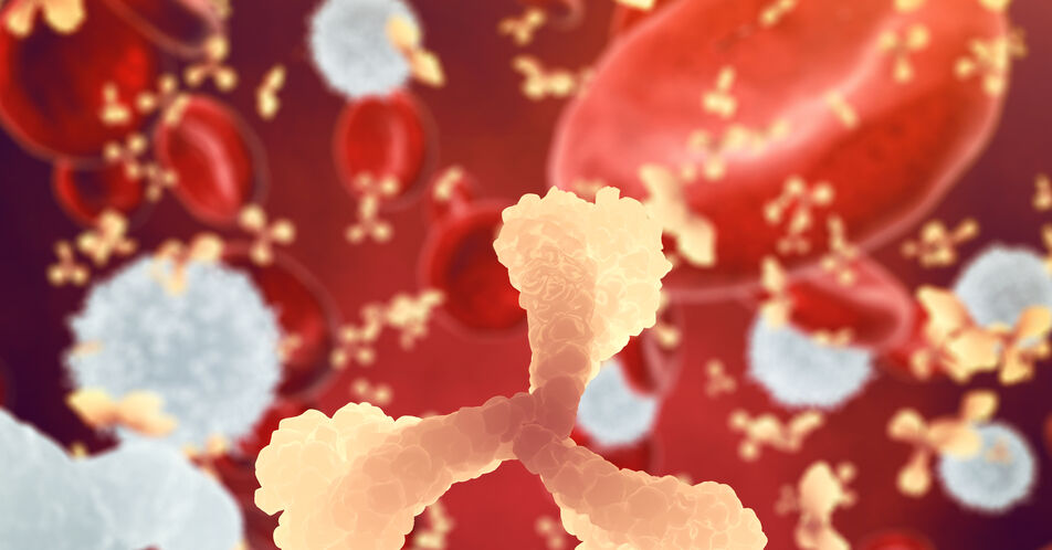 Wie Immunzellen ins Gewebe gelangen