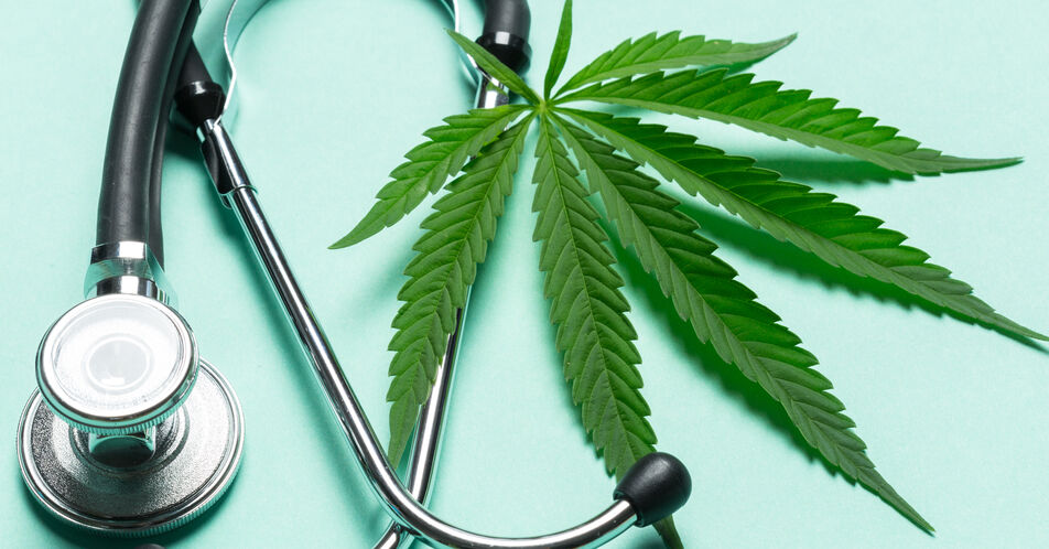 Cannabis-Abgabe: „Gründlicher Konsultationsprozess“ soll starten