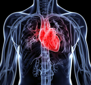 Neue Behandlungsmöglichkeiten in der chronischen Herzinsuffizienz