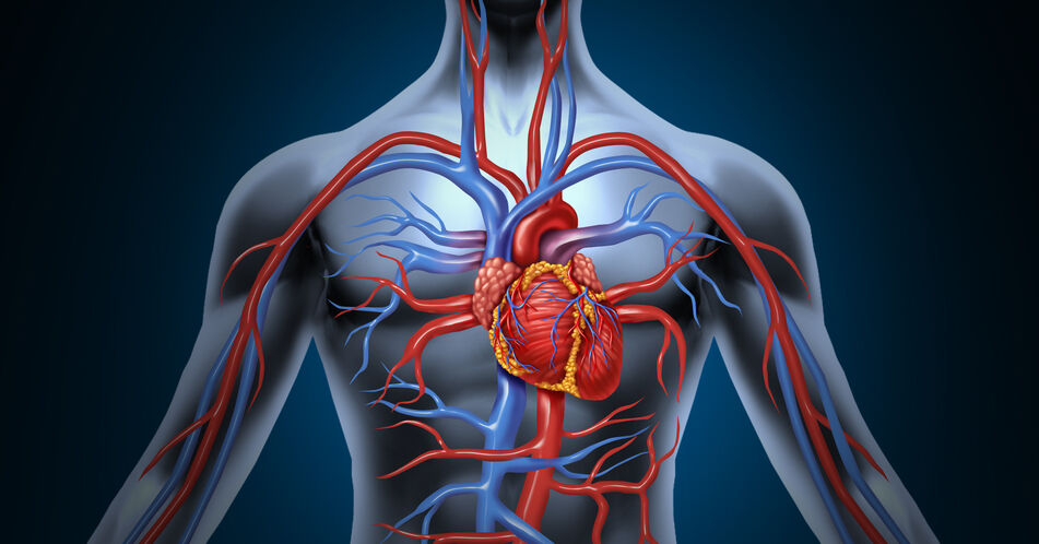 Herzinsuffizienz: Vermindertes Mortalitätsrisiko unter Dapagliflozin