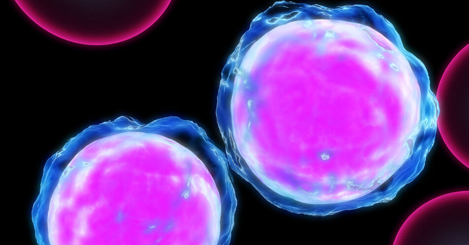 Warum sterben Zellen trotz erneuter Sauerstoffversorgung ab?