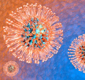 Herpesviren als Waffe gegen Krebs