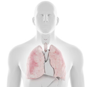 Mehr Lebenszeit bei Lungenfibrosen