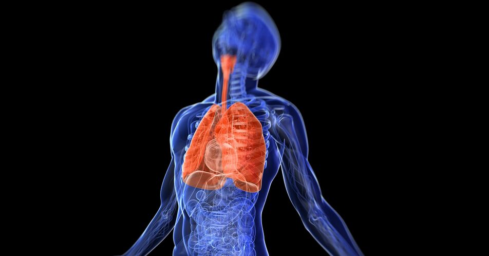 COPD: Bestehen Komorbiditäten?