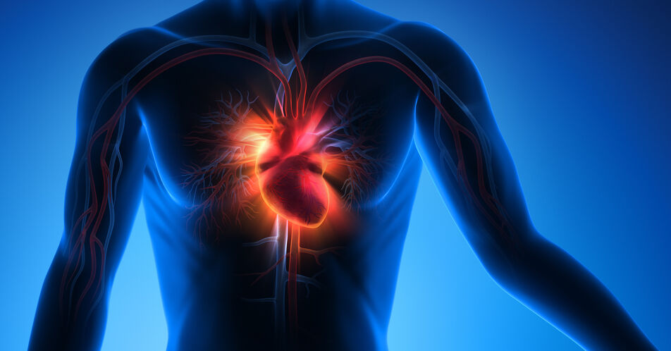 Herzinsuffizienz: Dapagliflozin senkt Mortalitätsrisiko