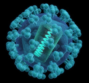 HIV-1-Infektion: Aktuelle Informationen zu den Studienprogrammen mit Islatravir