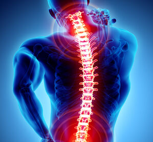 Rückenschmerzen per DiGA in der hausärztlichen Praxis effektiv behandelbar 
