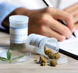 Informationen zum Einsatz von Medizinalcannabis im Praxisalltag