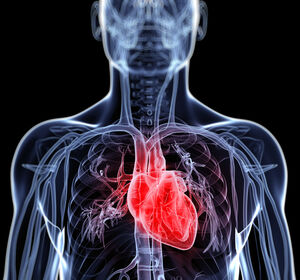 Eingriffe am Herzen: Ältere Herzpatient:innen sollen durch ein neues Projekt besser vorbereiten werden