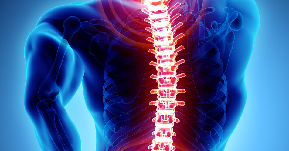 Verfahren der Künstlichen Intelligenz ermöglicht künftig eine personalisierte Diagnose bei Rückenproblemen