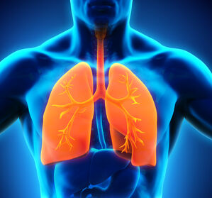 Welt-COPD-Tag 2022: Wie die Versorgung von Patient:innen verbessert werden kann