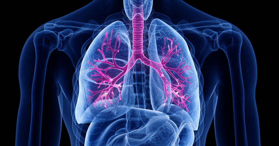 Hohe Wirksamkeit und Sicherheit: 10 Jahre Aclidinium(bromid) bei COPD