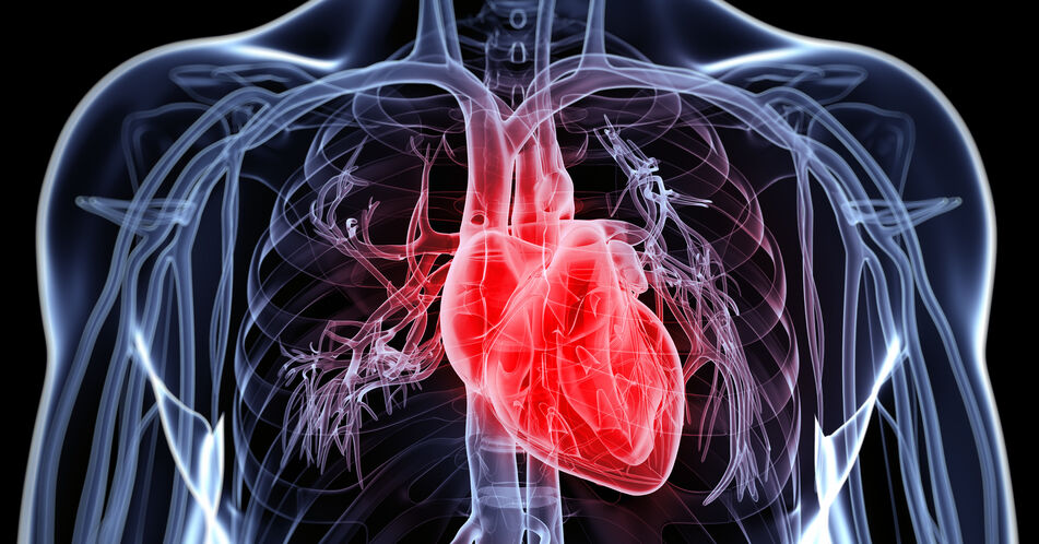 Koronare Herzkrankheiten mittels digitaler Marker präziser einschätzen