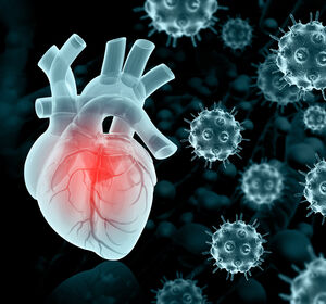 Forschungsteam zeigt, wie Entzündungen bei COVID-19 Herzgefäße verändern