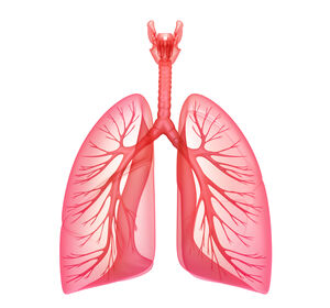 Asthmaspray: Krankenkasse zahlt Schulung für richtiges Inhalieren