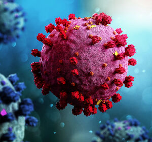 Long-COVID Studie: Blutwerte zeigen Umprogrammierung von Immunzellen an