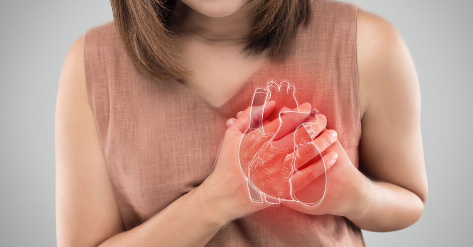 Tropoelastin-Injektion heilt Herz nach Infarkt