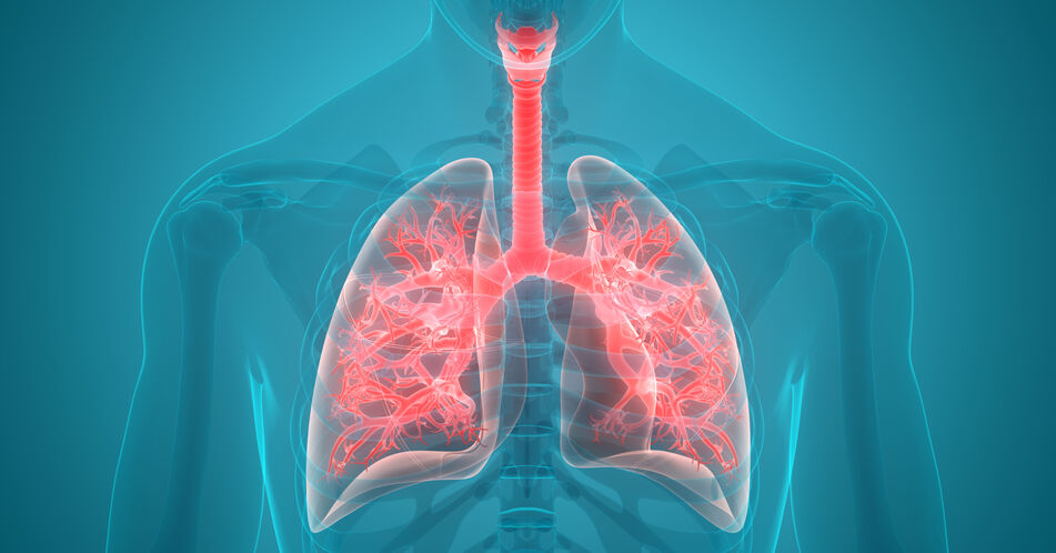 COPD: Dyspnoe reduzieren mit LAMA/LABA-Fixkombinationen
