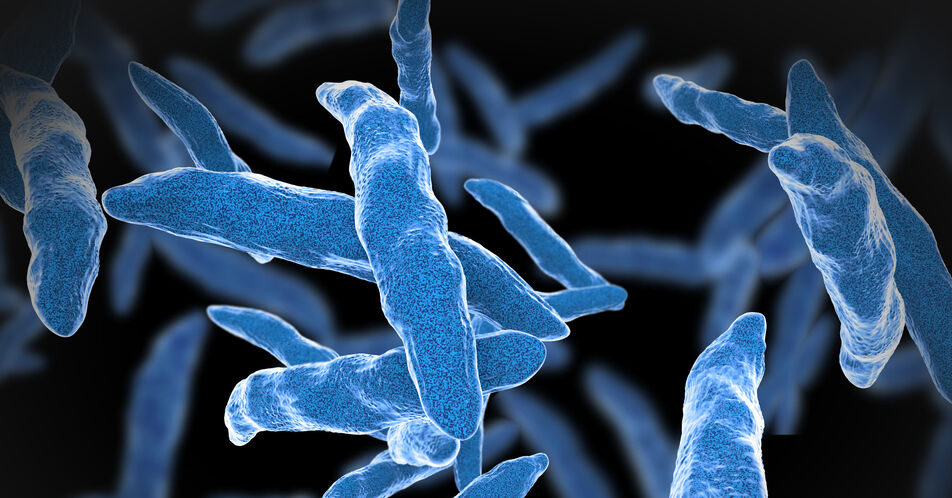 Antibiotikaresistenzen: Tuberkulose-Therapie am Limit?