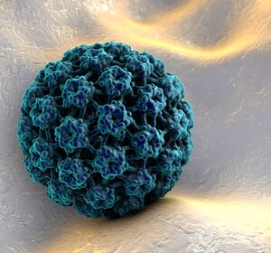 Welt-HPV-Tag: Initiative „ENTSCHIEDEN. Gegen Krebs.“
