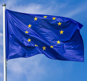 Bundesrat für Verbot von Einweg-E-Zigaretten auf EU-Ebene