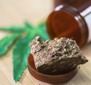 Experten rechnen mit mehr Cannabis-Nutzung durch Legalisierung