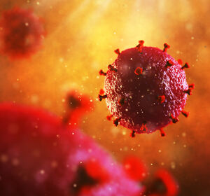 HIV- und Hepatitis-C-Virus-Infektionen frühzeitig erkennen