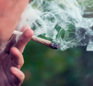Strenge Regeln für Cannabis-Clubs geplant